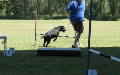 Jade jumping