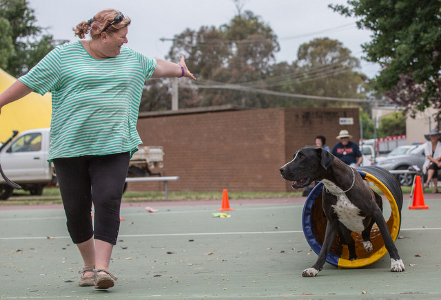 Agility